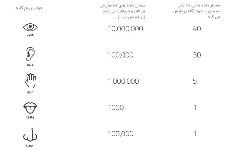 مقدار داده های که مغز در هر ثانیه دریافت می کند